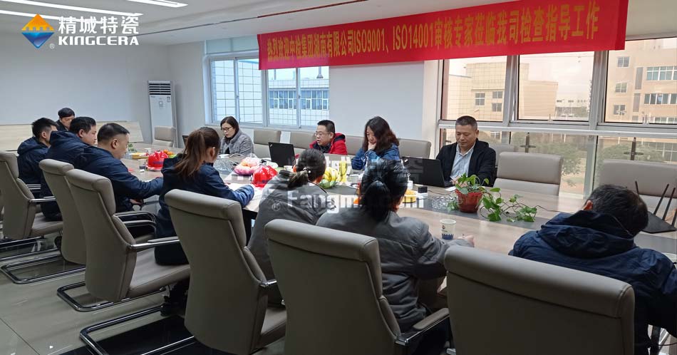 南宫NG28特瓷ISO14001环境治理系统认证评估审核