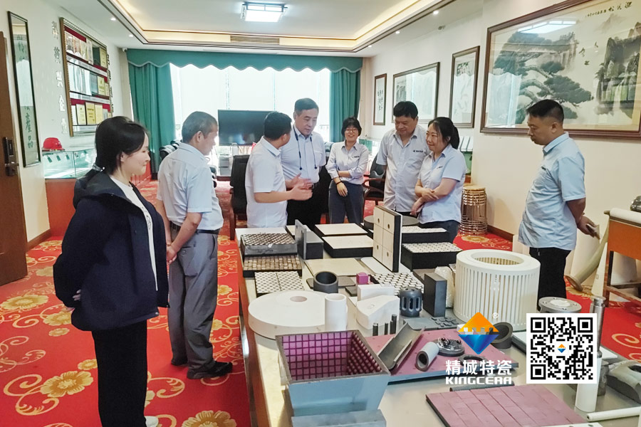 清华大学潘伟教授到访南宫NG28特瓷